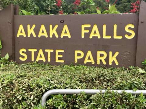 2018ハワイ　ハワイ島　ツアー　アカカ滝