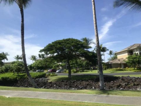 2018ハワイ　ハワイ島　ヒルトンワイコロア 送迎
