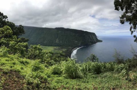 2018ハワイ　ハワイ島　ツアー　ワイピオ渓谷