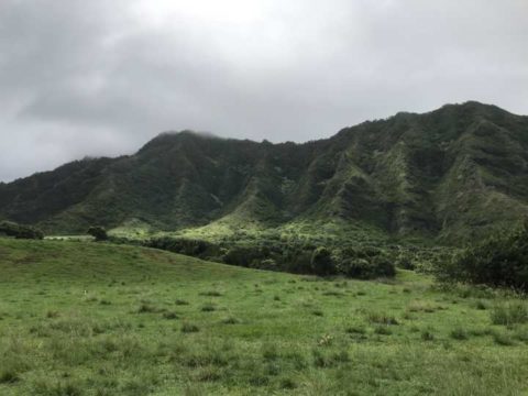 2018ハワイ　ホノルル　クアロアランチ